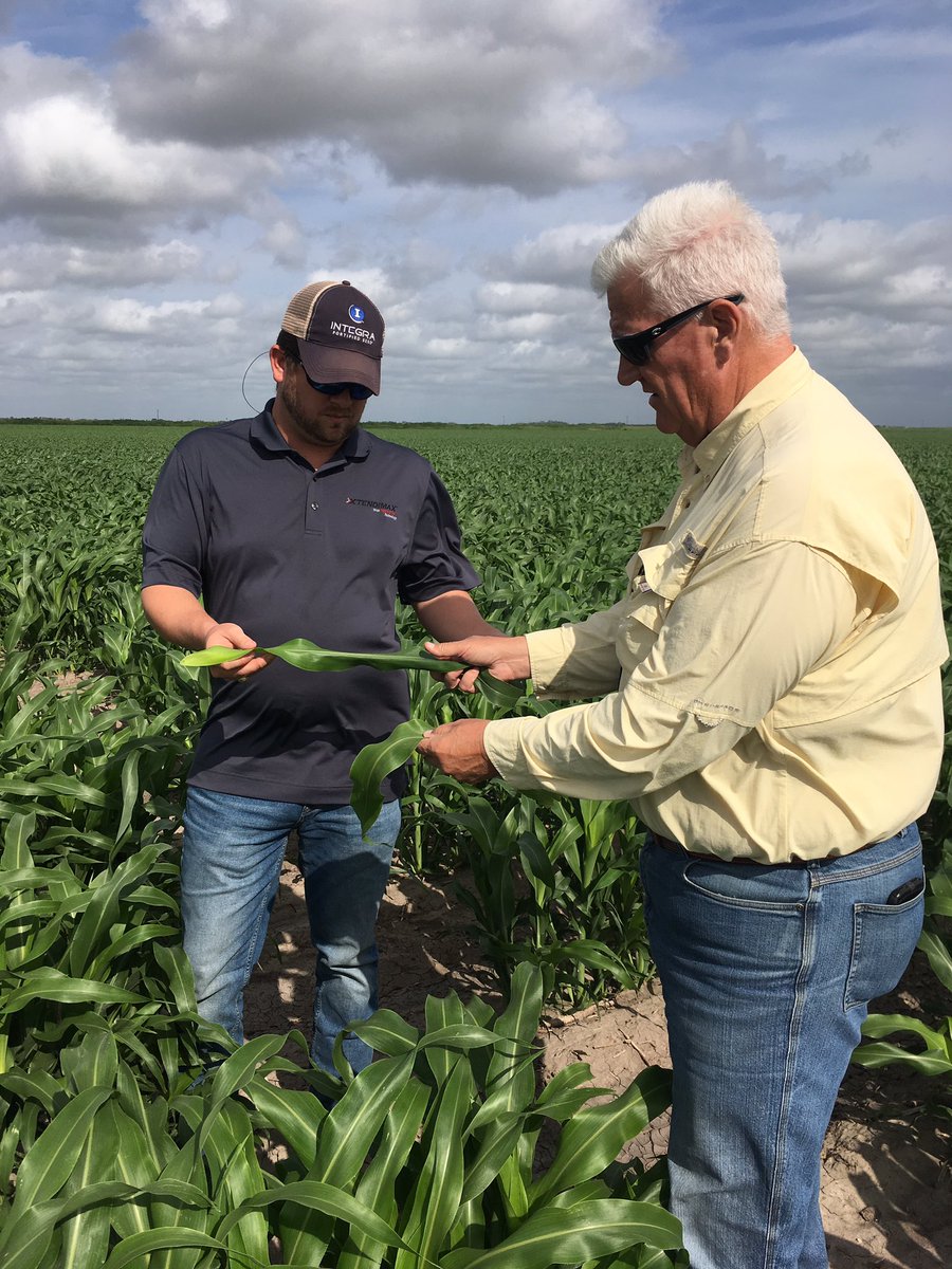AaronPetersen20's tweet photo. Great week with our Central &amp; South Texas seed team. Started in the RGV &amp; finished up today with the guys in Rosebud. #IntegraCorn https://t.co/DHWMPl5poR