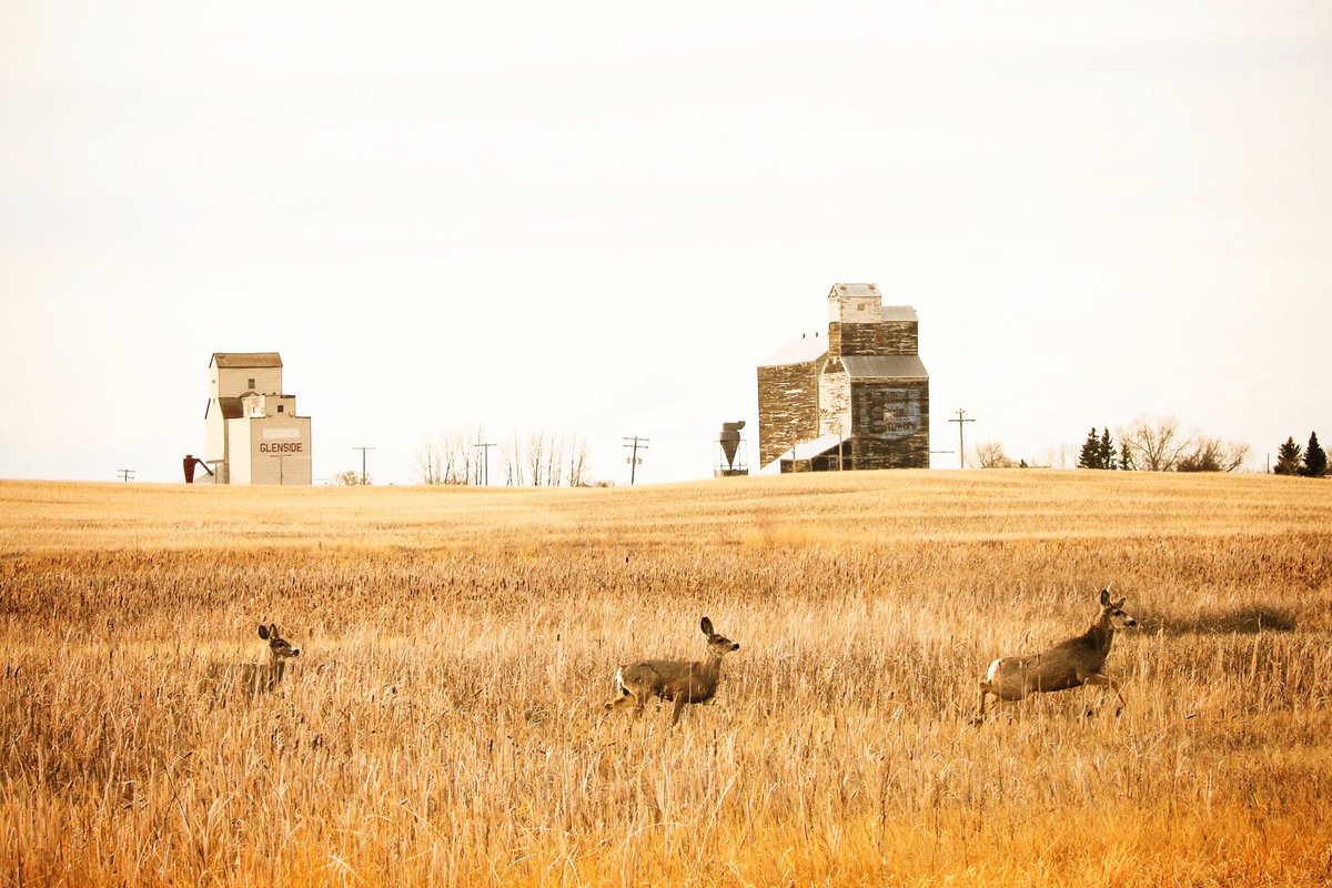 This prairie setting never gets old ❤️ #ExploreSask #ExploreCanada #PrairieProud #LandOfLivingSkies