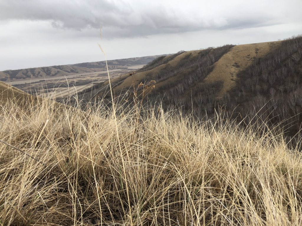 JocVelestuk's tweet photo. Back at it digging this fine rainy spring day. The soil needs it and I can dig in the rain. Came across this gorgeous view and made the trek to look at some native prairie! #plant19 #sampling19 @Western_Ag @YourSoil https://t.co/9Cpgfq23EI