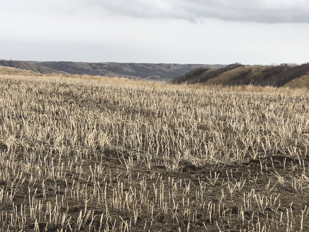 JocVelestuk's tweet photo. Back at it digging this fine rainy spring day. The soil needs it and I can dig in the rain. Came across this gorgeous view and made the trek to look at some native prairie! #plant19 #sampling19 @Western_Ag @YourSoil https://t.co/9Cpgfq23EI