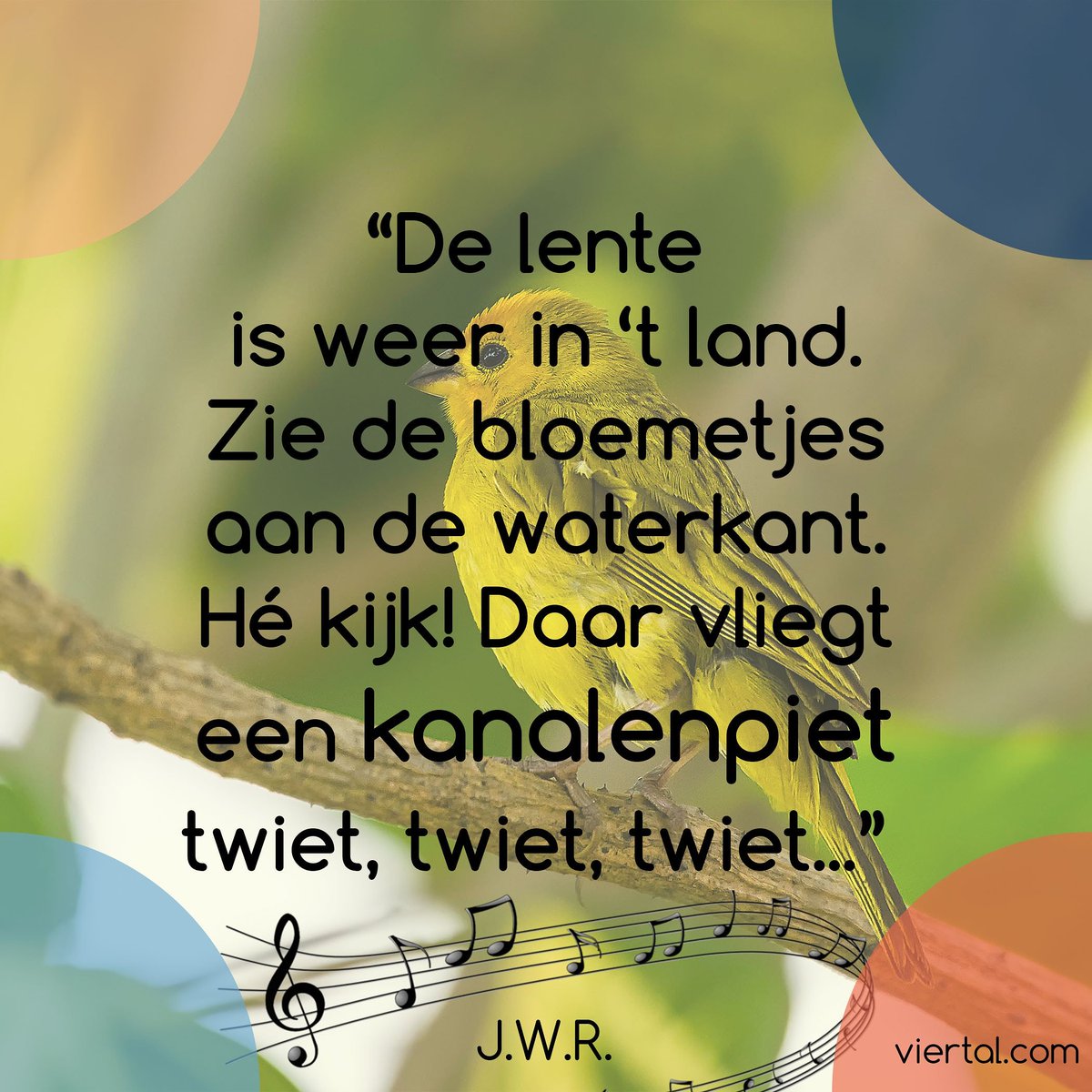 Nieuwe soort aangetroffen deze lente 😄
#quotevandedag #quote #uitsprakenvankinderen #kinderquote #kinderlogica #ikrekenhetgoed #liedje #lenteliedje #kleuterpraat #kleuterlogica #viertal.com