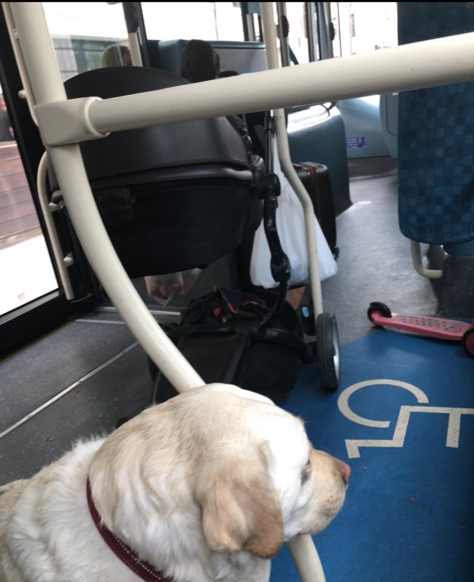 BlindDad_Uk's tweet photo. Got on the bus &amp; had to stand by the exit doors as it was busy. Bus driver refused to drive on until I had sat down &amp; eventually someone took their shopping off the seat. Passengers were annoyed that Kika kept moving, but this was due to a pram that didn’t have its brakes on. https://t.co/IXLsdch3tO
