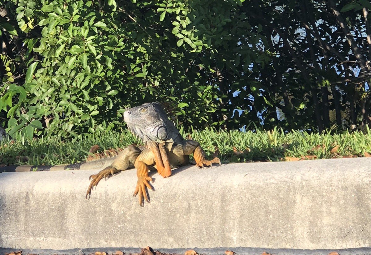 Katie Dewey Hill tweet media