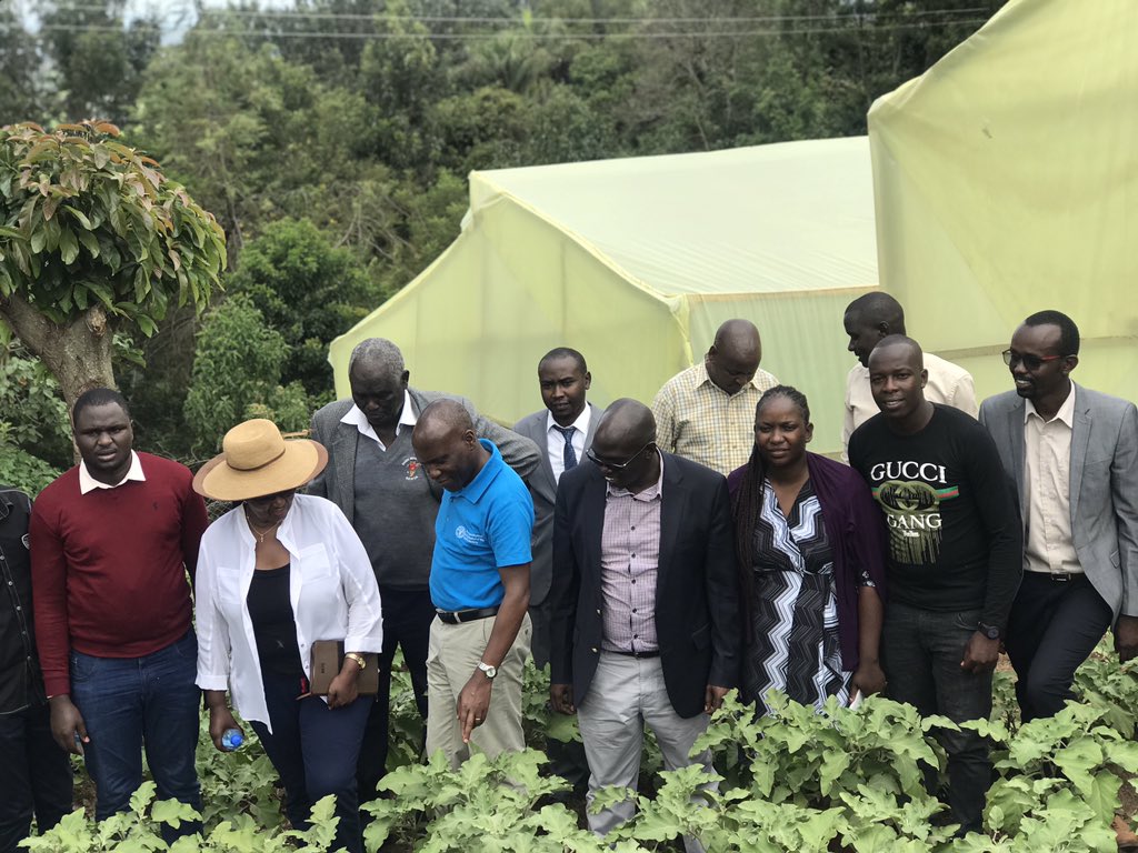 rodgers_kirwa's tweet photo. Today at @iAgriBizAfrica model farm we were privileged to host #Malawi 🇲🇼 Ambassador to Kenya H.E Agrinna Mussa , @FAOKenya Rep Dr. @RugalemaGabriel &amp; CECM #agriculture in #Nandi Dr. @kiplimoaraap among other distinguished guests.

#AgribusinessTalk254

@Araap_Sang @diangaronald https://t.co/5jtokACgSJ