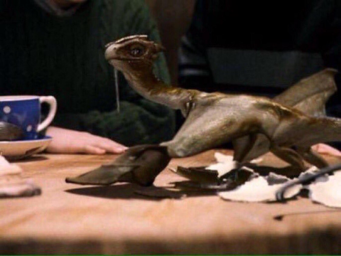 Norwegian Ridgeback In Flight Norwegian Ridgeback Dragon Hatched By Hagrid