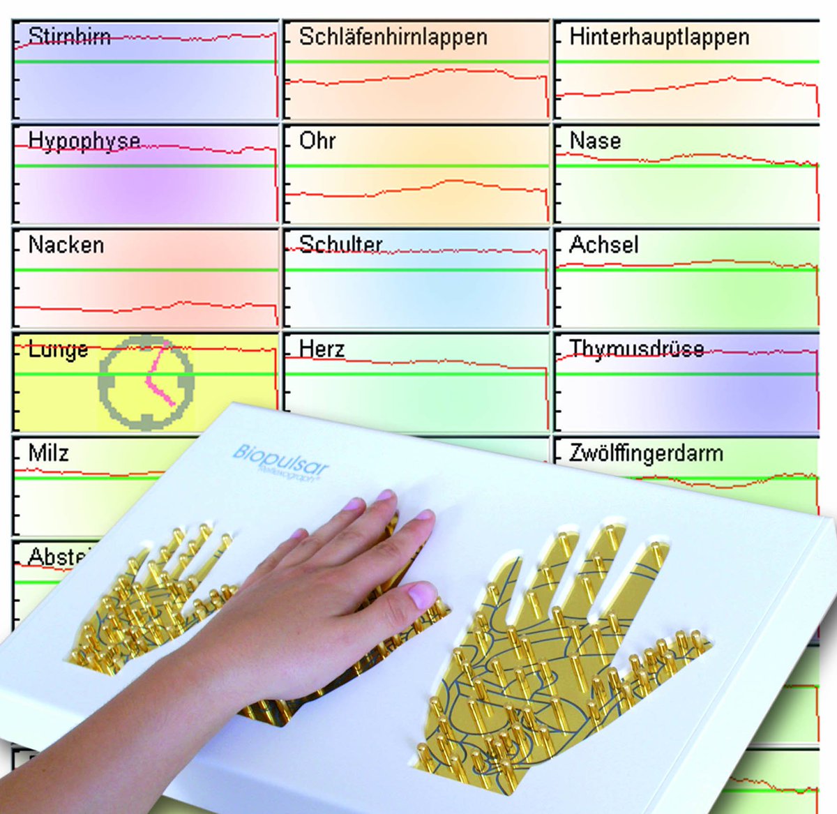 AuramedG's tweet photo. Die Biopulsar-Software wird eingesetzt von #Therapeuten, Präventologen  und #Lebensberater (m/w) zur #bioenergetischen Analyse von 43 Organzonen  in Bezug auf #Energetik und Reaktionsfähigkeit. Mehr auf https://t.co/GdzrxekOUD https://t.co/LA86GzLMvA
