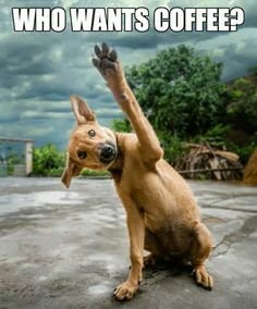 coffeewiz's tweet photo. https://t.co/vRawLwCYjQ