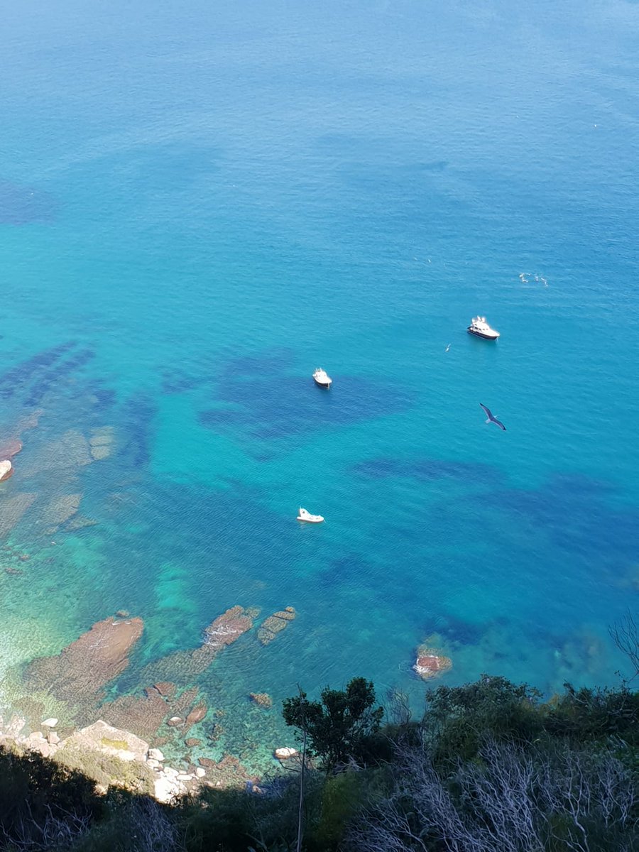 RealAlicante's tweet photo. We want to share the beauty of Costa Blanca with you. You may come looking for the sun😎 and fun🥳, but you definitely fall in love with the scenery🤩😍. Just take a glance at the photos below, we guaranty you’ll be fascinated. #movetospain #property #Costablanca #spain https://t.co/XwBOpS1oGH