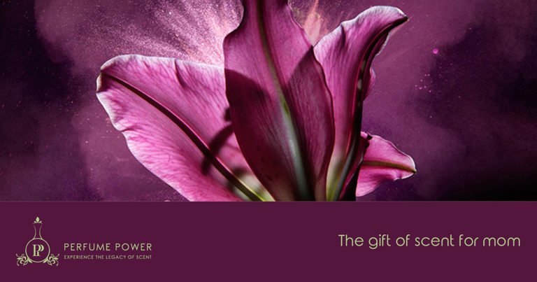 PerfumePowerSA's tweet photo. Guidelines to buying that unique perfume for MOTHERS DAY
There are various approaches one could take to this adventure.
BLOG: 👇🎈🌸
https://t.co/i6DgGniy8i
#mothersday2019 #perfumegiftformom #perfumepower https://t.co/D920XCuDG4