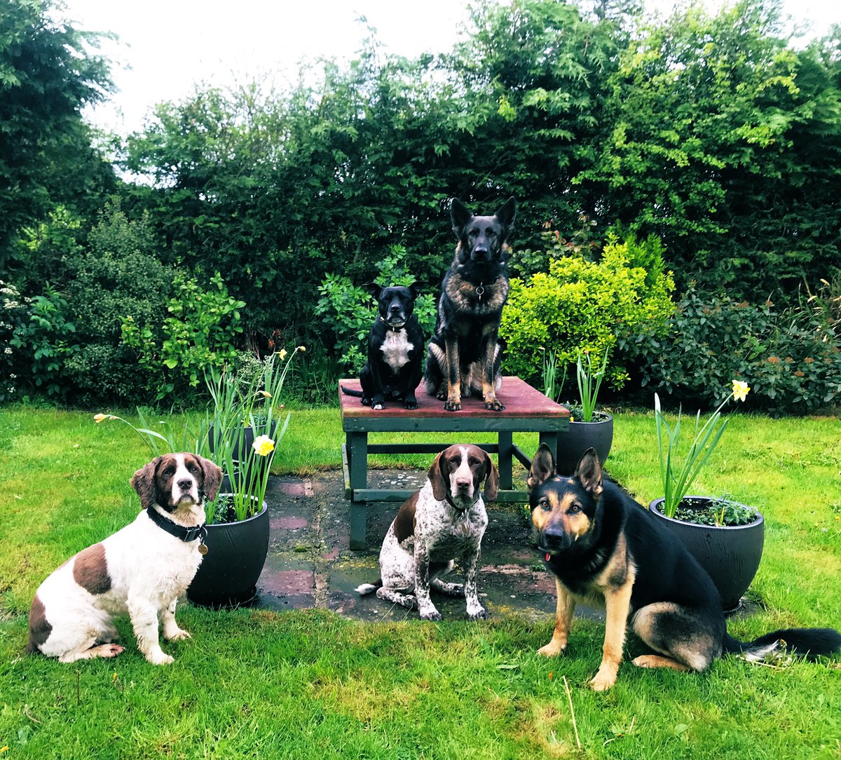RPD2025STELLA tweet picture
