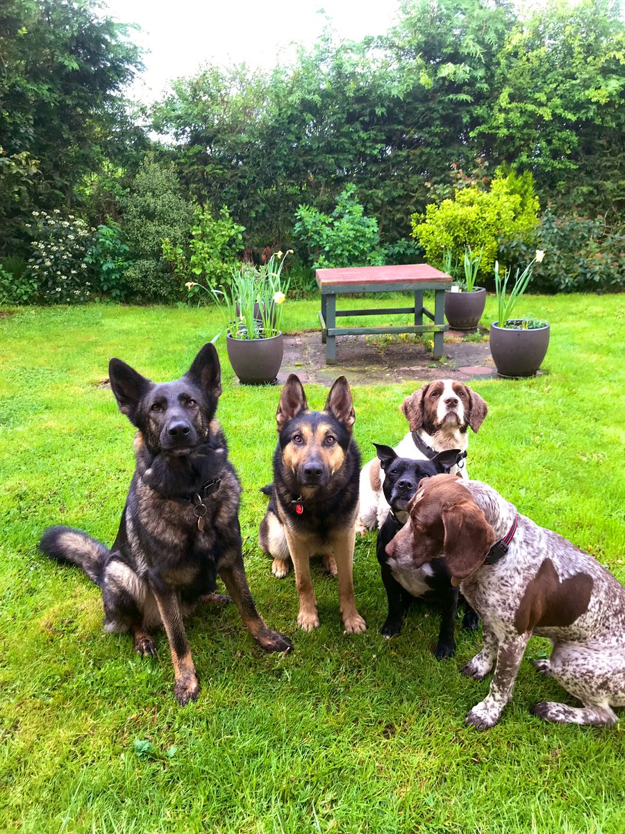 RPD2025STELLA tweet picture
