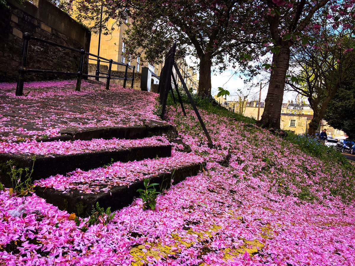 Will Thorp tweet media