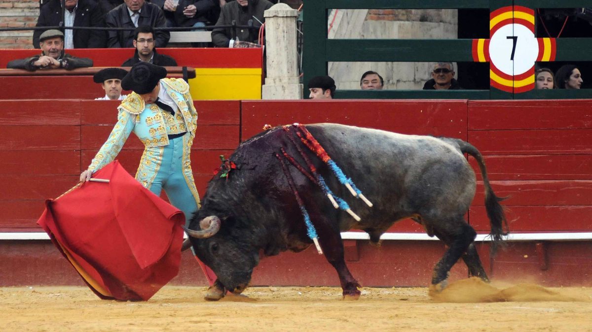 javiercastano_'s tweet photo. "Un verdadero guerrero no lucha porque odia lo que tiene en frente, si no que lucha porque ama lo que tiene detrás."
#JavierCastaño. https://t.co/2tkJzFR8UI