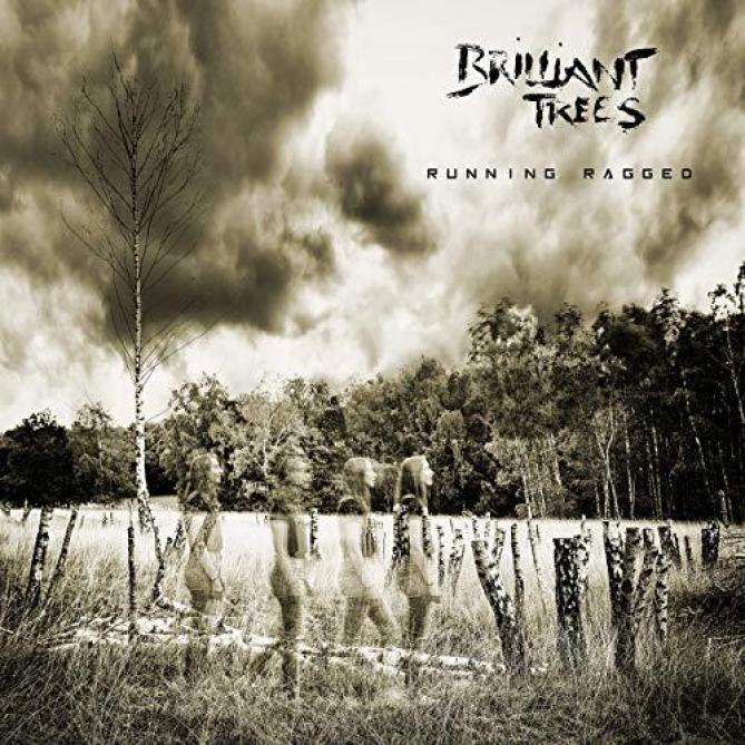 mad_lesoir's tweet photo. Petite musique de soirée avec le rock légèrement progressif très années 70 dans l'âme de @brillianttrees1 @TCThierry https://t.co/xdIhfr5a95 https://t.co/KkOQ53Qbno