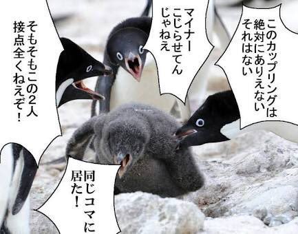 一時期流行った ペンギンコラ画像 元の写真は産経新聞のカメラマンさんが撮ったものだった お前だったのか Togetter