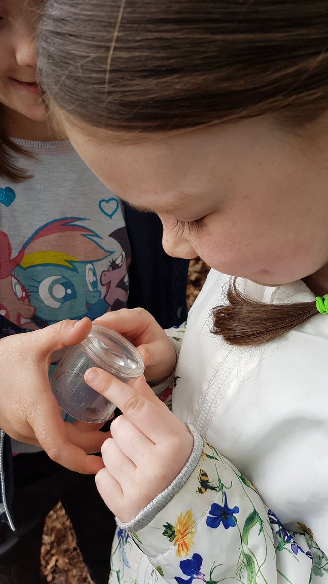 Minibeast hunting at #forestschool seeking out the best place to find them, sharing ideas and resources. <a href="/Whyteleafe_sch/">Whyteleafe School</a>