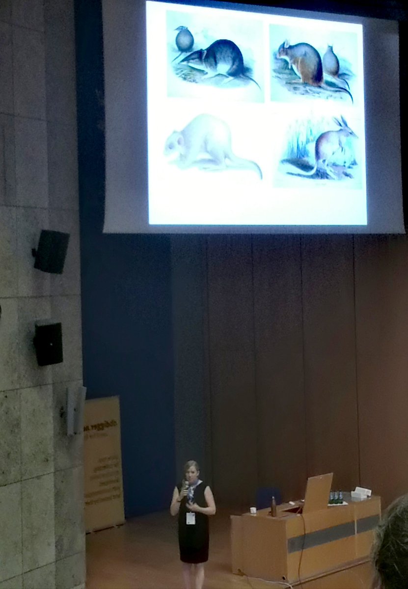 Always happy to hear about fluffy little mammals @StefaniCrabtree #s34 #KrakCAA