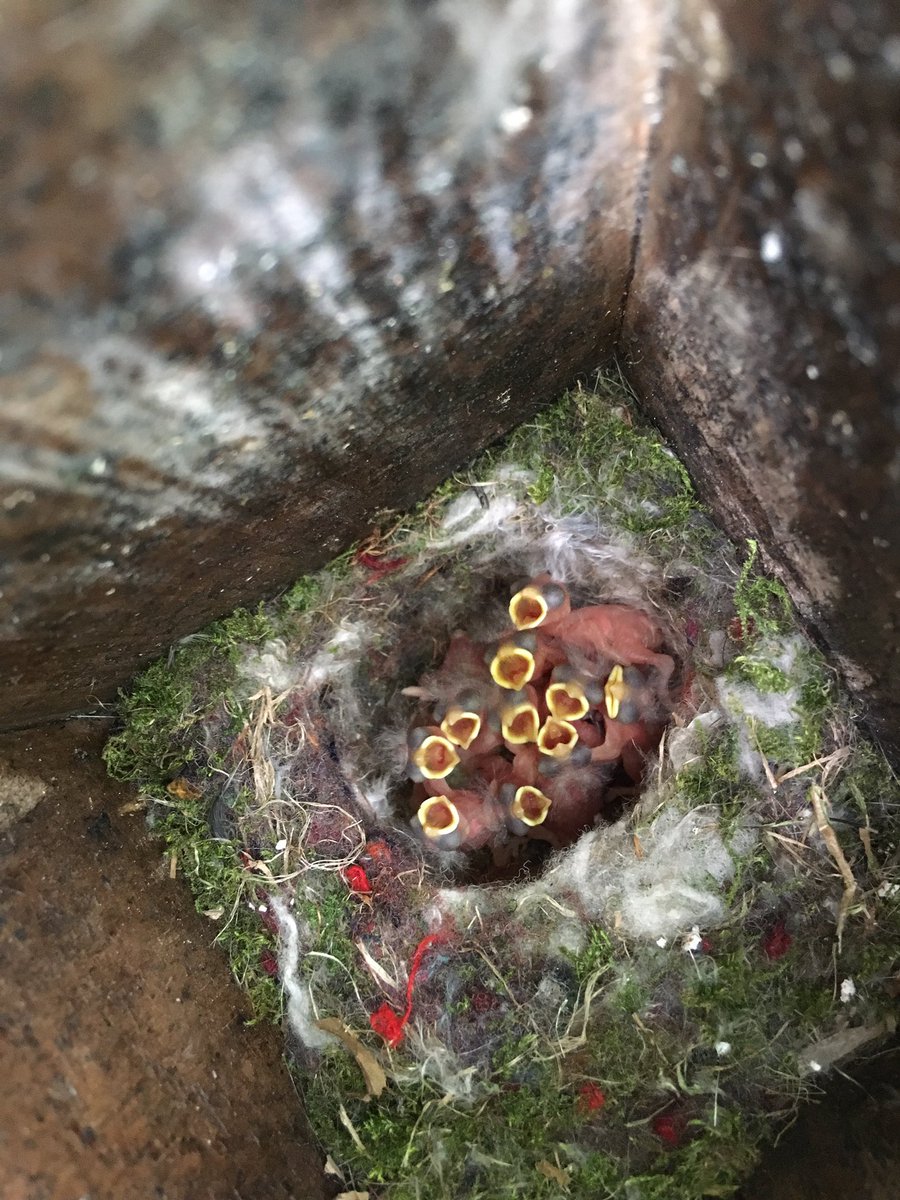 Imogen Mansfield (she/her) tweet media