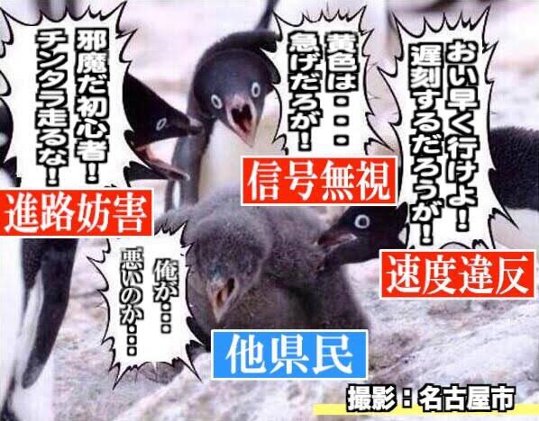 一時期流行った ペンギンコラ画像 元の写真は産経新聞のカメラマンさんが撮ったものだった お前だったのか Togetter