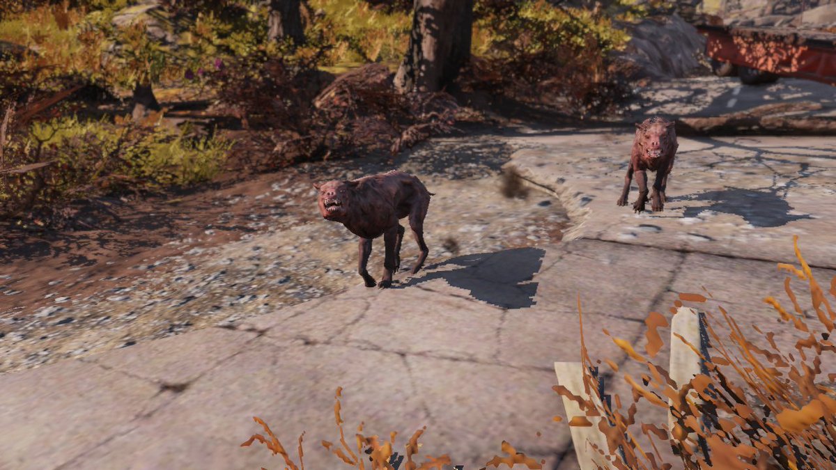 Rickforb's tweet photo. Got my first camera atoms for wild life in the forest. It was so much fun to try and catch them all on my camera 😁
#Fallout76 https://t.co/2QHTfIjg5X