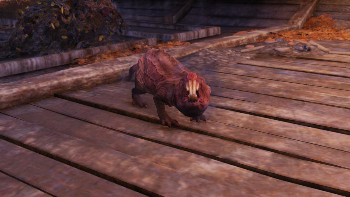 Rickforb's tweet photo. Got my first camera atoms for wild life in the forest. It was so much fun to try and catch them all on my camera 😁
#Fallout76 https://t.co/2QHTfIjg5X