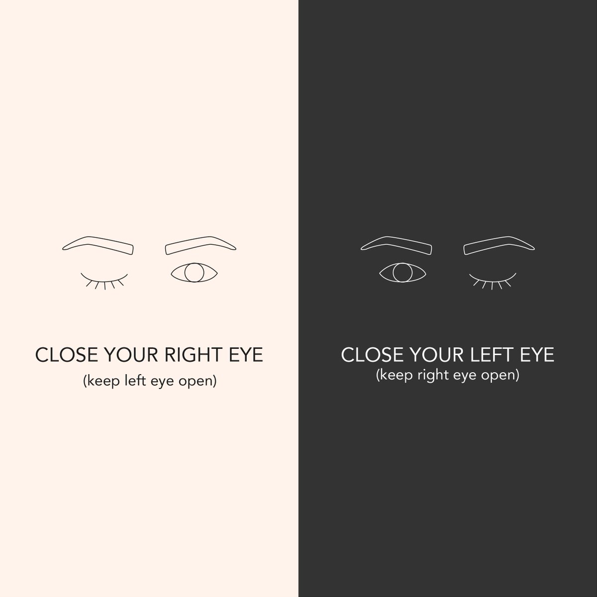 ThunderPowerEV's tweet photo. Did you know: Your #dominanteye is the one that your brain prefers to get visual input from. But the fact that you’re right-handed doesn’t mean you are right-eye dominant. Ready to find out whether you’re right- or left-eye dominant? Take a quick test and tell us below!
#ev #tpev https://t.co/OBUvpS81DM