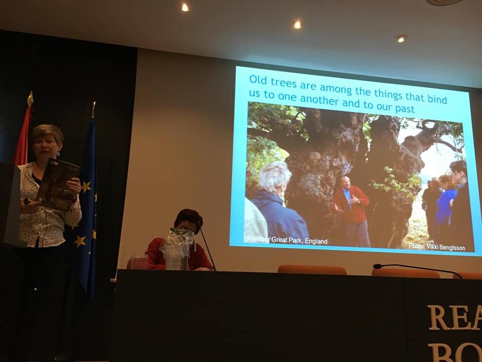 aearboricultura's tweet photo. A punto de comenzar la Jornada #Árbolesveteranos: del Individuo al entorno. Una Gestión transversal. #formaciónarboricultura #AEA #arboricultura #arbolista #árbolveterano #árbol #trees #veterantrees #culturadelárbol #vetcert #vertree https://t.co/B0cKiLxJem