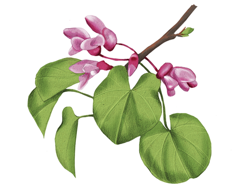 The London Magazine tweet media