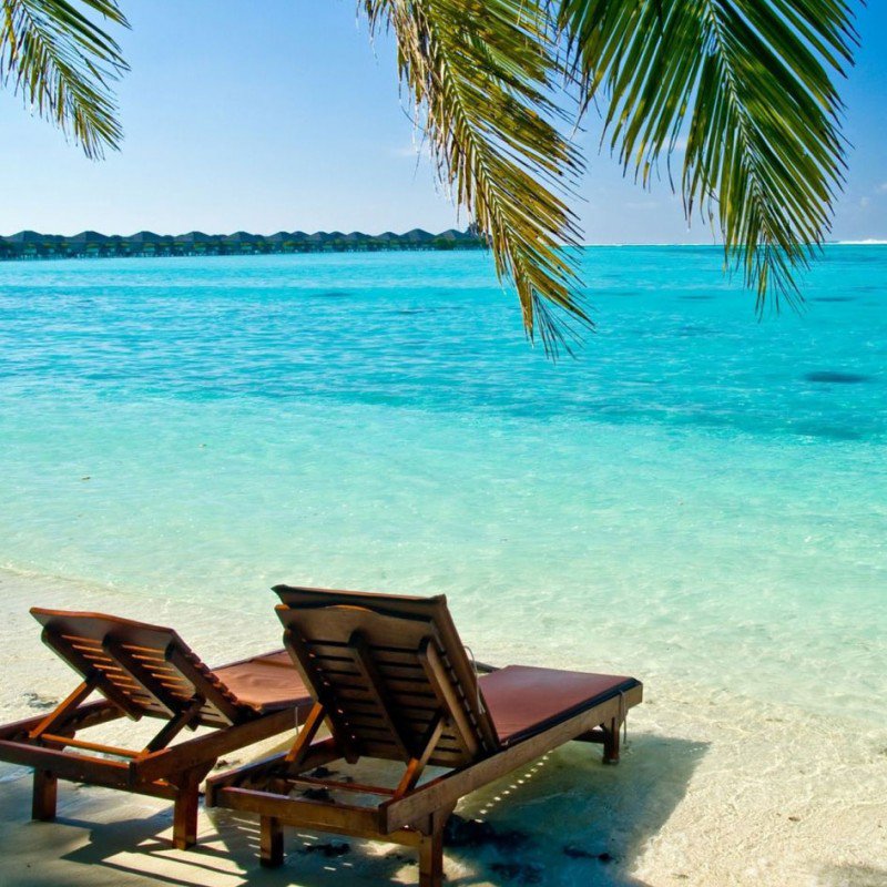 paysdeslangues's tweet photo. Succombez aux charmes de la Barbade avec Au Pays des Langues #Caraïbes #aupair https://t.co/jYUsNESdC3 https://t.co/D5XWtYpIKS