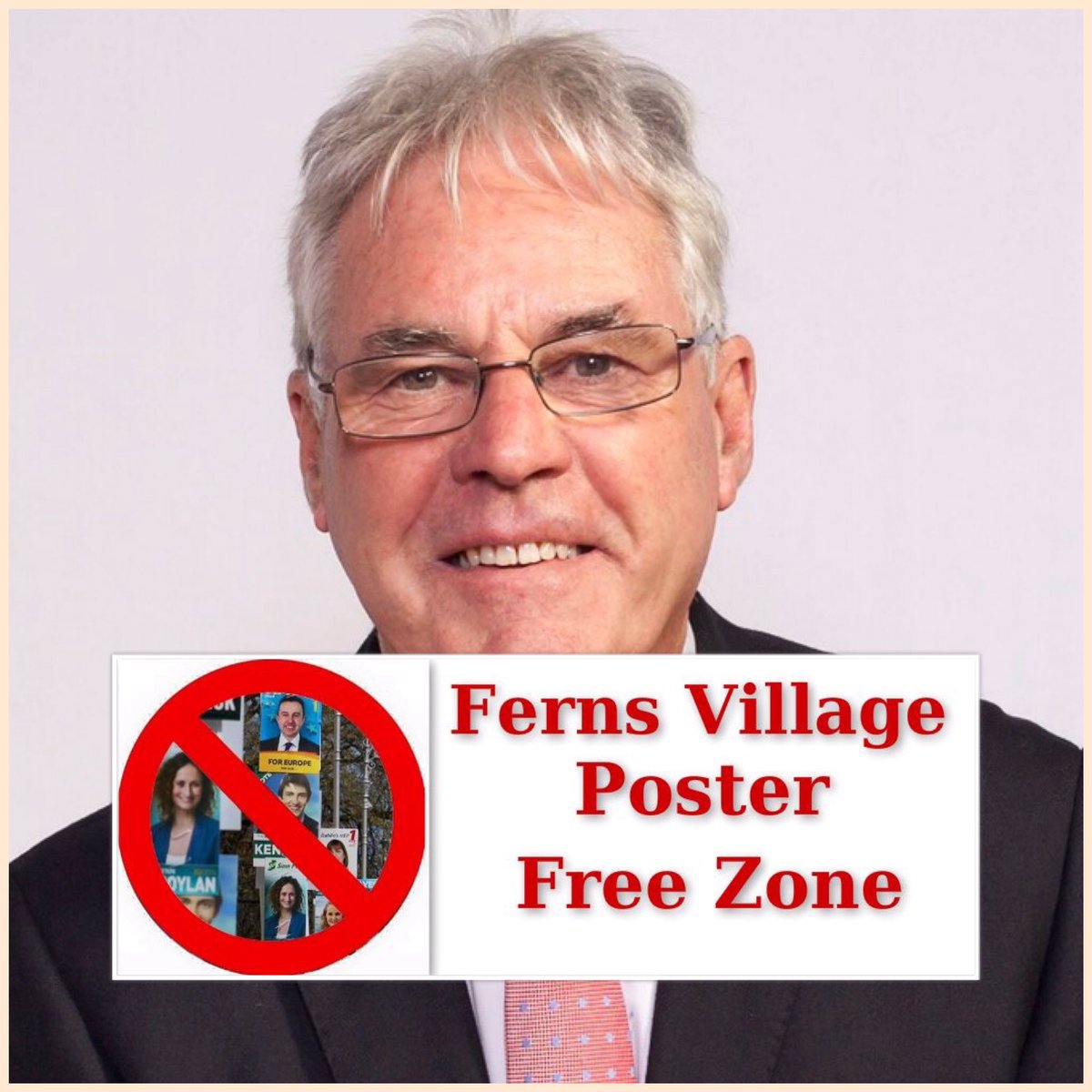 Fearna_Mor's tweet image. Diarmuid Devereux, @FineGael  candidate, Gorey Municipal District is happy not to erect election posters in Ferns along the green areas or within the town limits on all approach roads to the village or in pollinator areas #posterfree  #LE19 @fiannafailparty #EuropeanElections2019