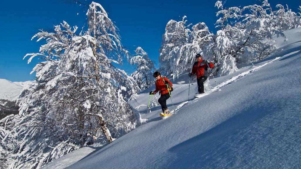 LaStampa's tweet photo. “Il nuovo turismo della natura salverà i paesi più piccoli come Champorcher” https://t.co/1M1BCWoAyi https://t.co/shi9D2jicI