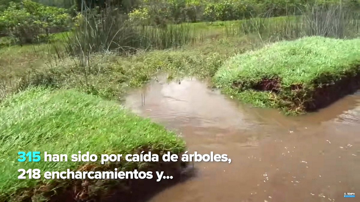 danielbernalb's tweet image. 1. Estas fotos tomadas del video de @ELTIEMPO de inundaciones en la autopista norte, demuestran la importancia del humedal en el separador, un relicto del Torca-Guaymaral. ¿Cuando lo pavimenten para ampliar la autopista para dónde cogerá toda esa agua?
youtube.com/watch?v=P9Ccdx…