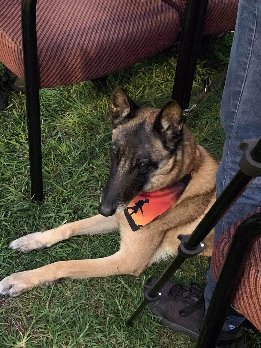 LeafyM76's tweet photo. Anzac Day Dusk service with my girl #LestWeForget https://t.co/q7V5FHvwk9
