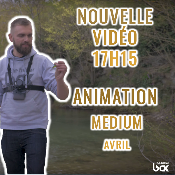 thefisherbox's tweet photo. 🔥 NOUVELLE VIDÉO 🔥
Ce soir à 17h15 retrouvez Kévin dans l'animation de la box MEDIUM du mois d'Avril ! 😍🎣

👉 N’oubliez pas de commander votre Box du mois de Mai sur https://t.co/qYynemskfJ https://t.co/ADxPLXefQz