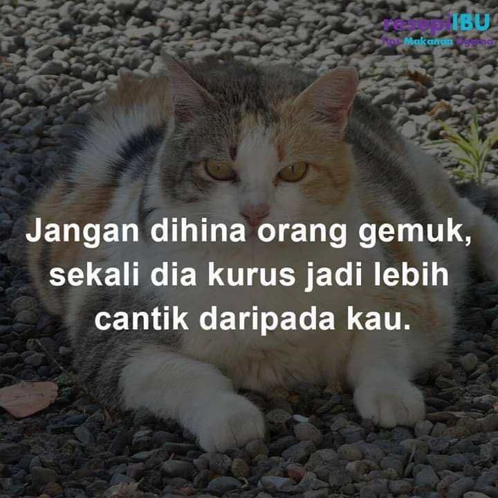 Nah loh!