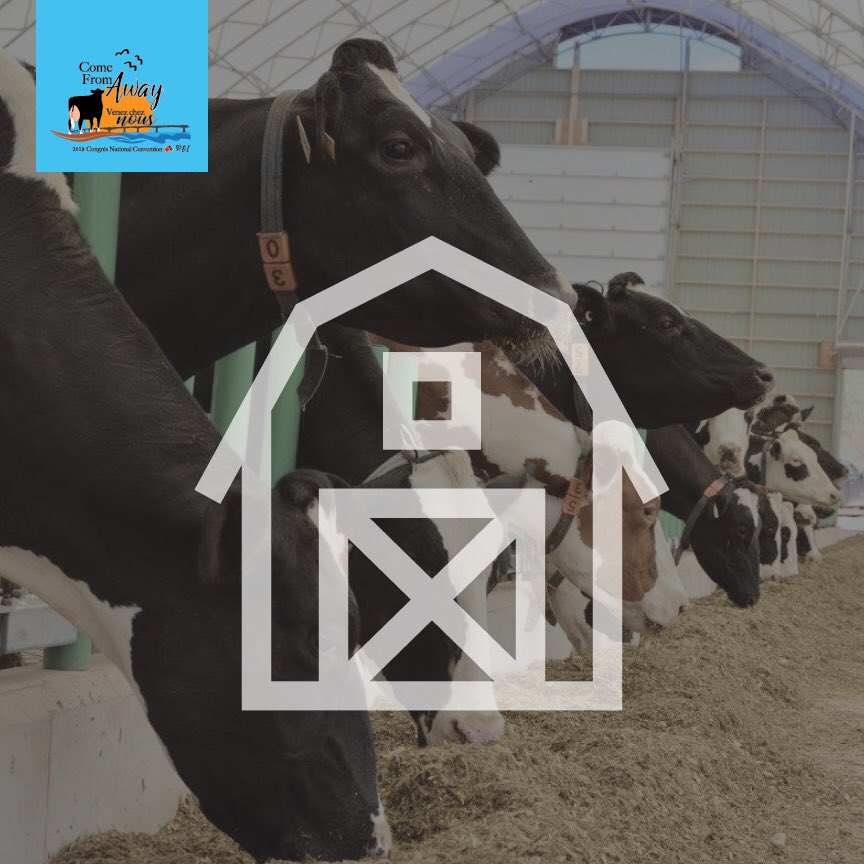We’re excited for Farm Tour day! If you’re joining us, share your experiences using #2019PEI on Twitter and Instagram! 
//
Aujourd’hui, c’est la journée des visites de fermes! Si vous êtes des nôtres, partagez votre expérience en utilisant #2019PEI sur Twitter et Instagram!