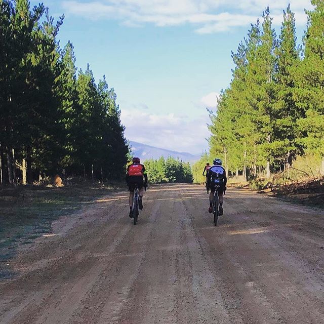 Making the most of yet another stunning Canberra Autumn day thanks to @kate_vberg for the 📷 bit.ly/2W4PGbN