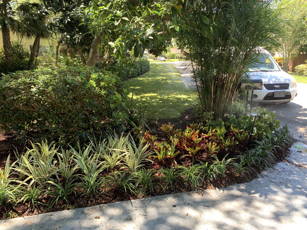 evergreencorner's tweet photo. Beautiful landscaping done, lay down new sod, a bed of flowers and some mulch #evergreentech #landscapingbocaraton #landscapingsouthflorida #landscaping #landscape https://t.co/fMScLDWh7Z