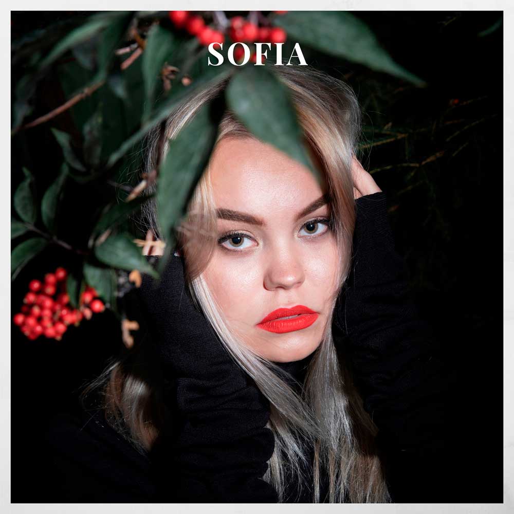 SOFIA tweet media