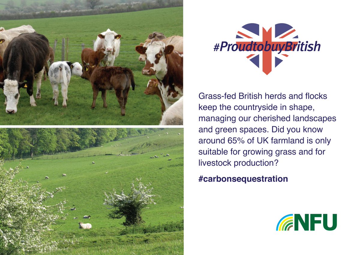 Did you know 65% of UK farmland is only suitable for growing grass? Grass-fed British herds and flocks keep the countryside in shape and centuries of grazing have created our best-loved landscapes #proudtobuyBritish