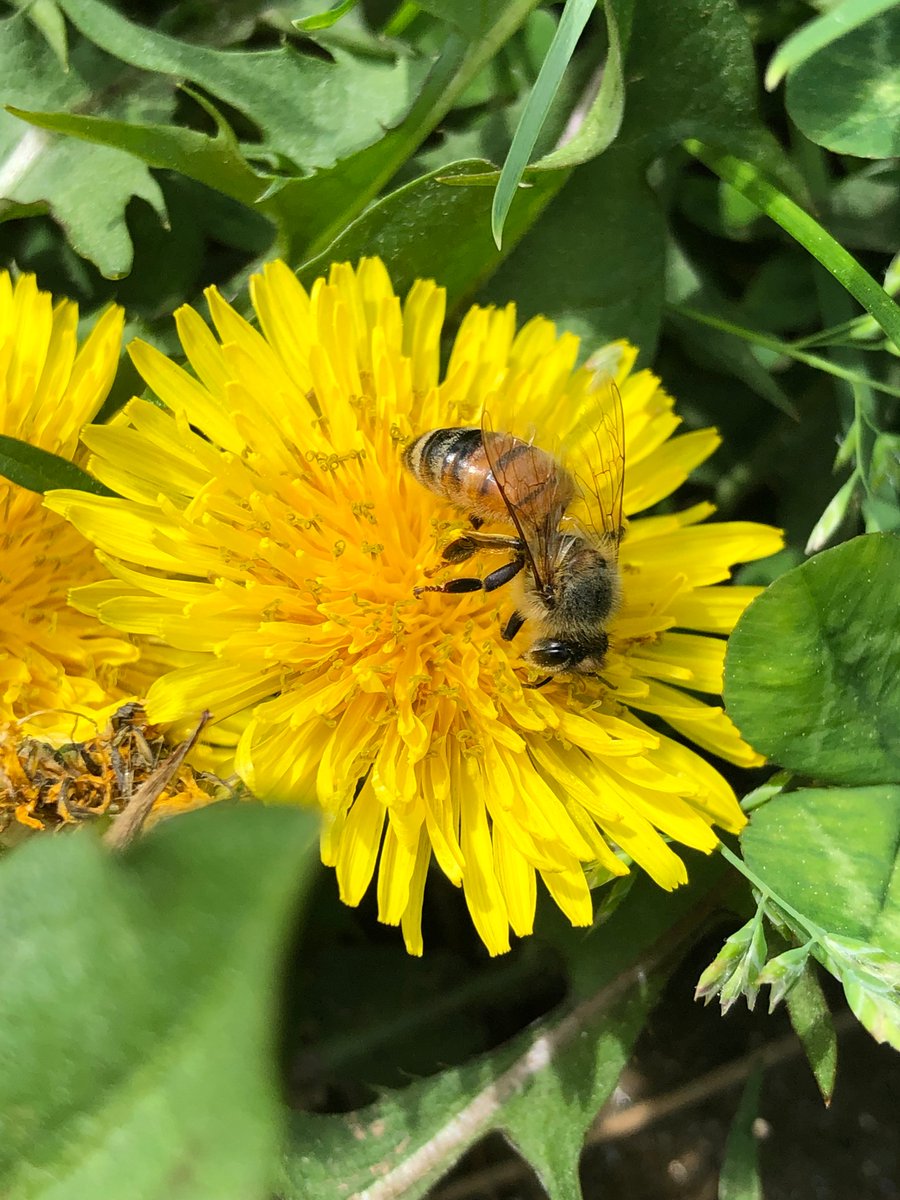 Thomas Schaer tweet media