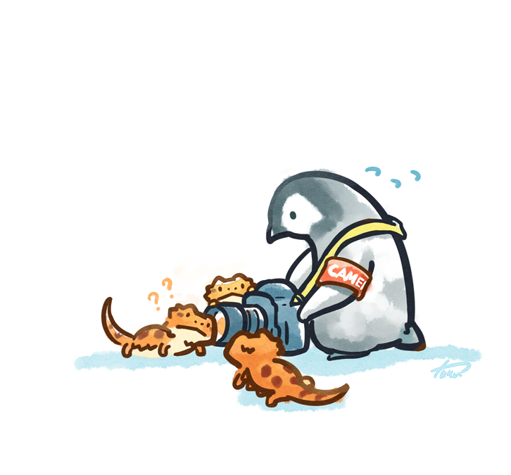 「#世界ペンギンの日 」|ツク之助◆はちゅこっと4のイラスト