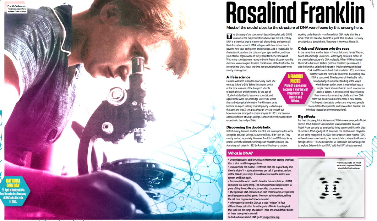 theweekjunior's tweet photo. 🧬It's #NationalDNADay today, which marks the discovery of DNA’s double helix in 1953. Delve into the story of how Rosalind Franklin revolutionised how we see DNA. Download the pdf at https://t.co/MD7scjlO1k @DNAday @genome_gov #DNADay19 #NationalDNADay https://t.co/NhPOpXDhf7