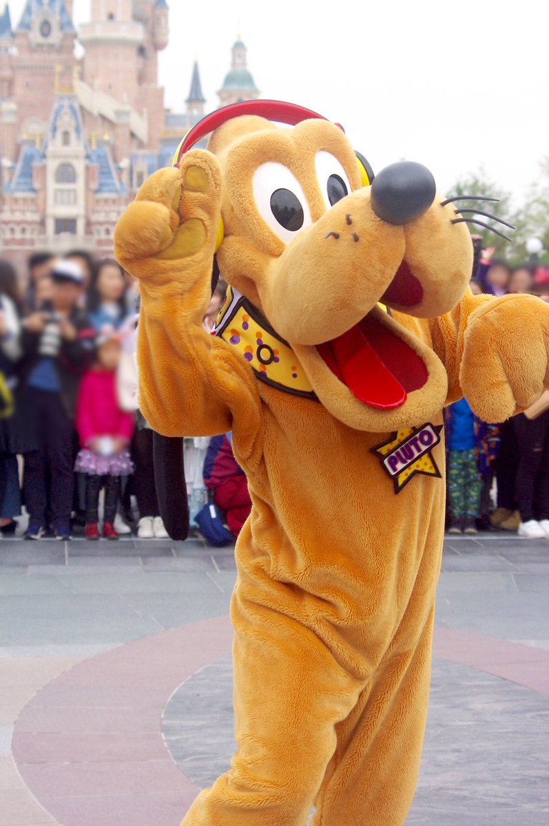 Disney Color Fest: A Street Party💙❤️💛
ヘッドホンがお似合いのプルート🎧✨首輪もプレートもドットで可愛い🌟💕