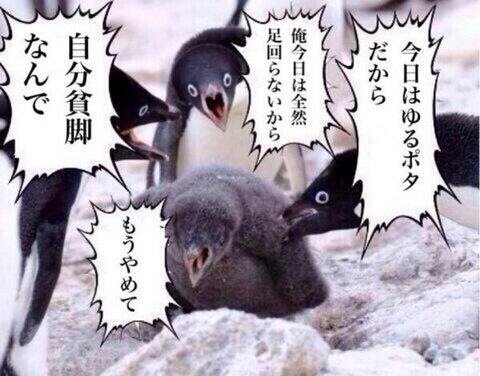 あのペンギン画像 の元ネタ写真からちょっと真面目な話に ネットで検索可能な形で過去記事を公開し続けるメディアは 現代史を支配できるのである ネットの ソースよこせ で出てくるのが産経だけ というのはすごくまずい Togetter
