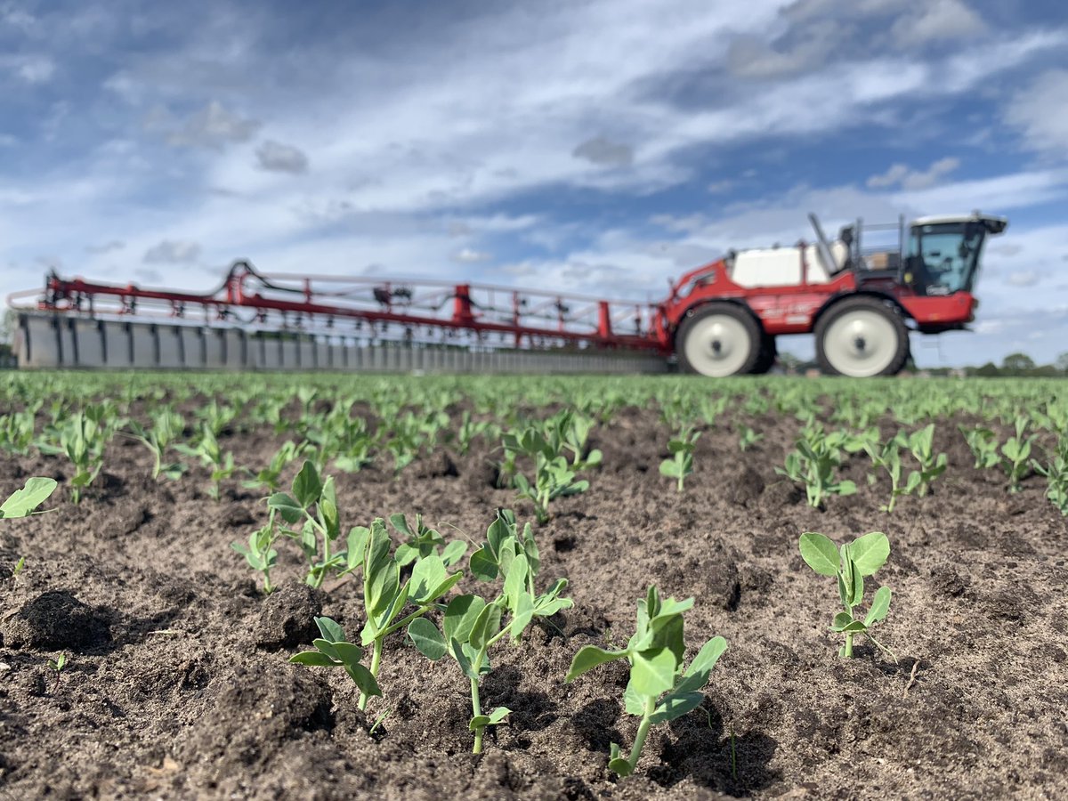 JJleunen's tweet photo. Zeg eens eerlijk, dit is toch heerlijk! #Erwten #Agrifac #Condor #Weer
#Agrifoto #Akker #Oogst19 #Agri #Agro #MooiWerk #Groei #Wingsprayer #Hashtag 😂 https://t.co/ehyRicmfQ3