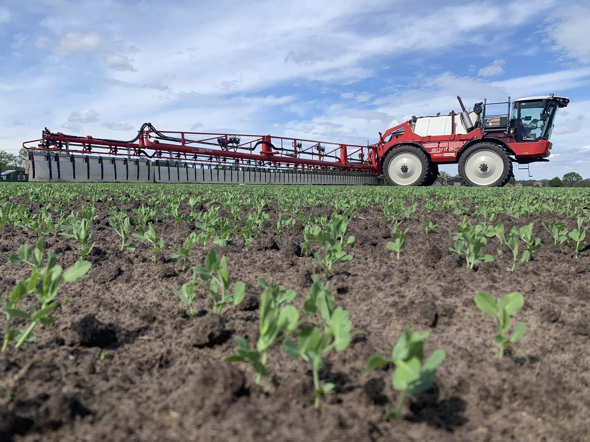 JJleunen's tweet photo. Zeg eens eerlijk, dit is toch heerlijk! #Erwten #Agrifac #Condor #Weer
#Agrifoto #Akker #Oogst19 #Agri #Agro #MooiWerk #Groei #Wingsprayer #Hashtag 😂 https://t.co/ehyRicmfQ3