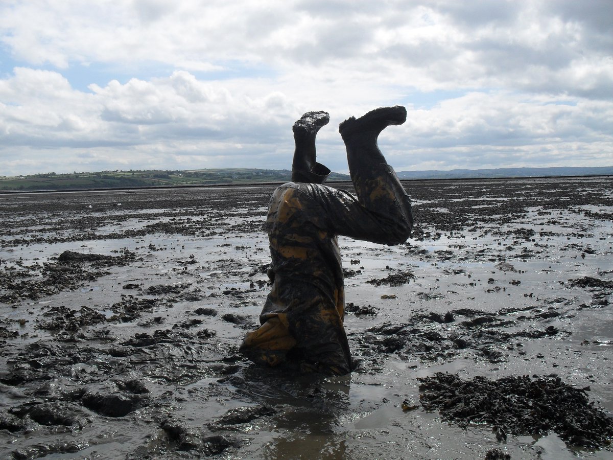 BritishEcolSoc's tweet image. Been photo-bombed by your study species? 📸 Had a #FieldworkFail? Tweet us a funny picture of you in the field and we&apos;ll put it in the next issue of #TheNiche! 📖 Bring on the #FieldworkLOLs! 🙈🙉🙊 
Photo Credit: Dannielle Green - Capturing Ecology 2013