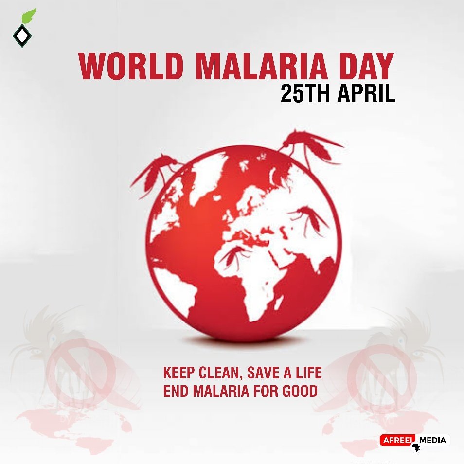 It is one of world top killers ravaging Africa, lets kill it before it kills more. #STOPMOSQUITOES #KILLMALARIA #endmosquito #chanels #world #AfricanEconomy #africa #agriculture