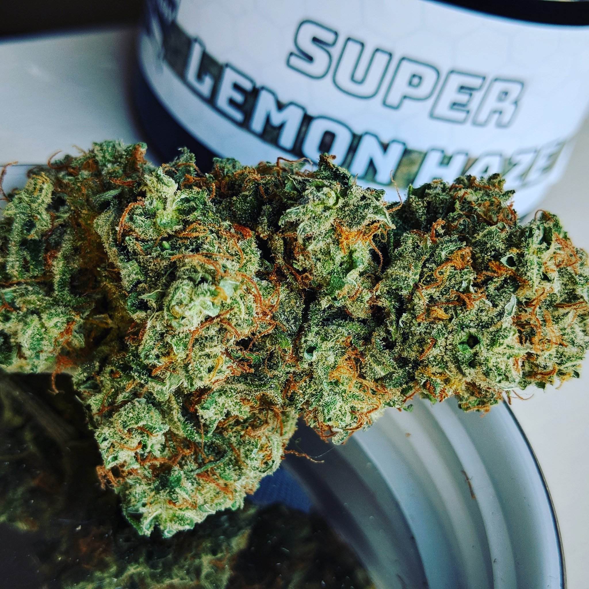 Lemon Haze Purple Kush